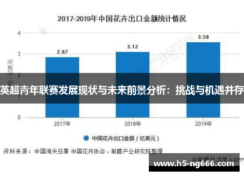 英超青年联赛发展现状与未来前景分析：挑战与机遇并存