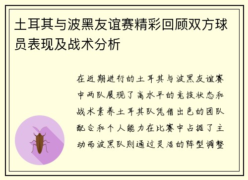 土耳其与波黑友谊赛精彩回顾双方球员表现及战术分析